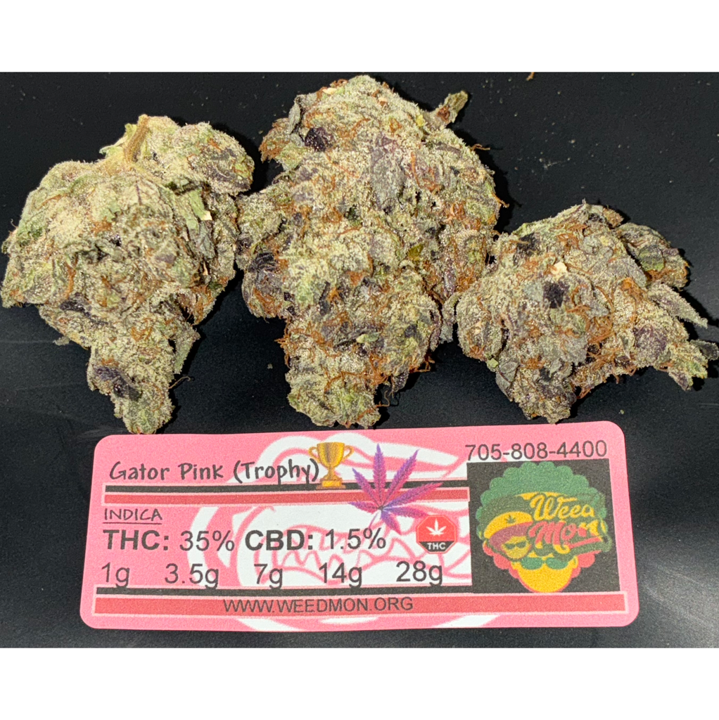 *********NEW BLACK FIRDAY DEAL* Gator Pink (AAAA+) THC: 35% CBD: 2.0%
