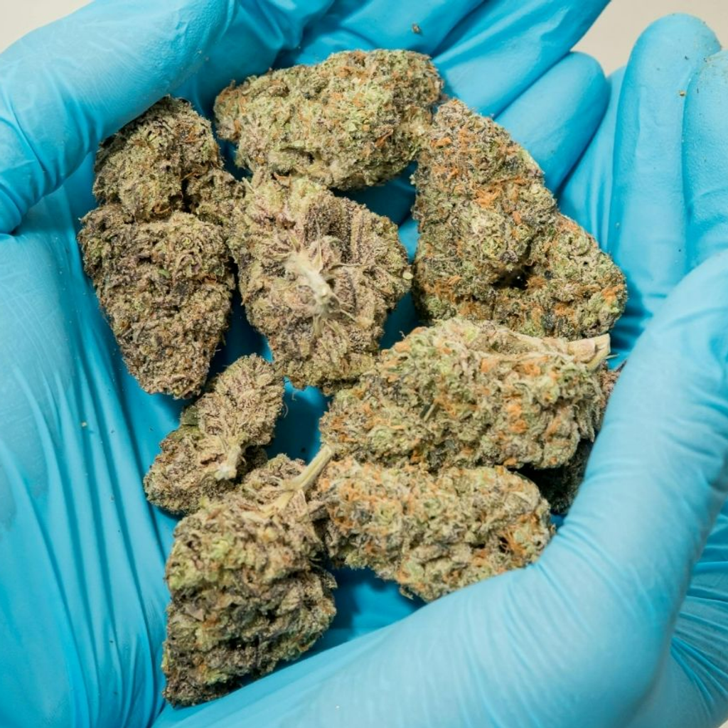 What Cannabis Products Are Most Popular for Delivery in Burlington?