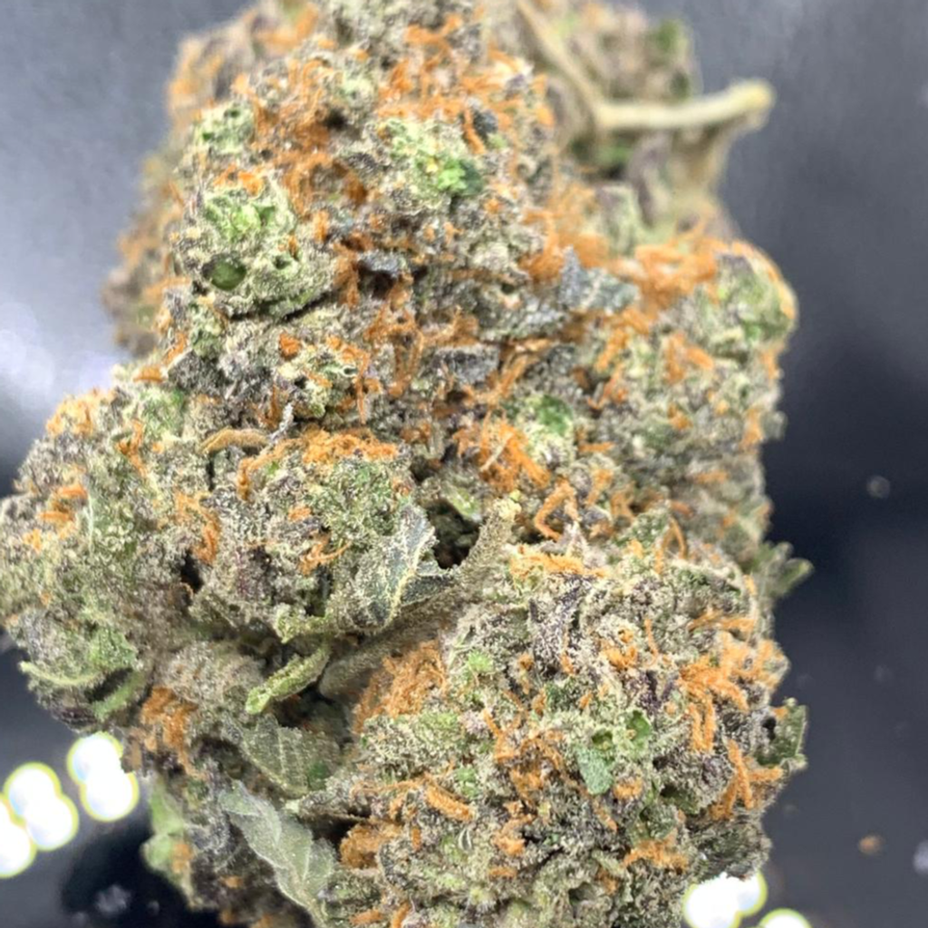 Skelly Hash Plant High Grade [ bogo Buy 1 oz and get 1/4 for free ]
