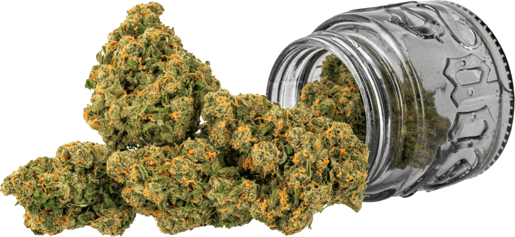 Jack | 3.5g