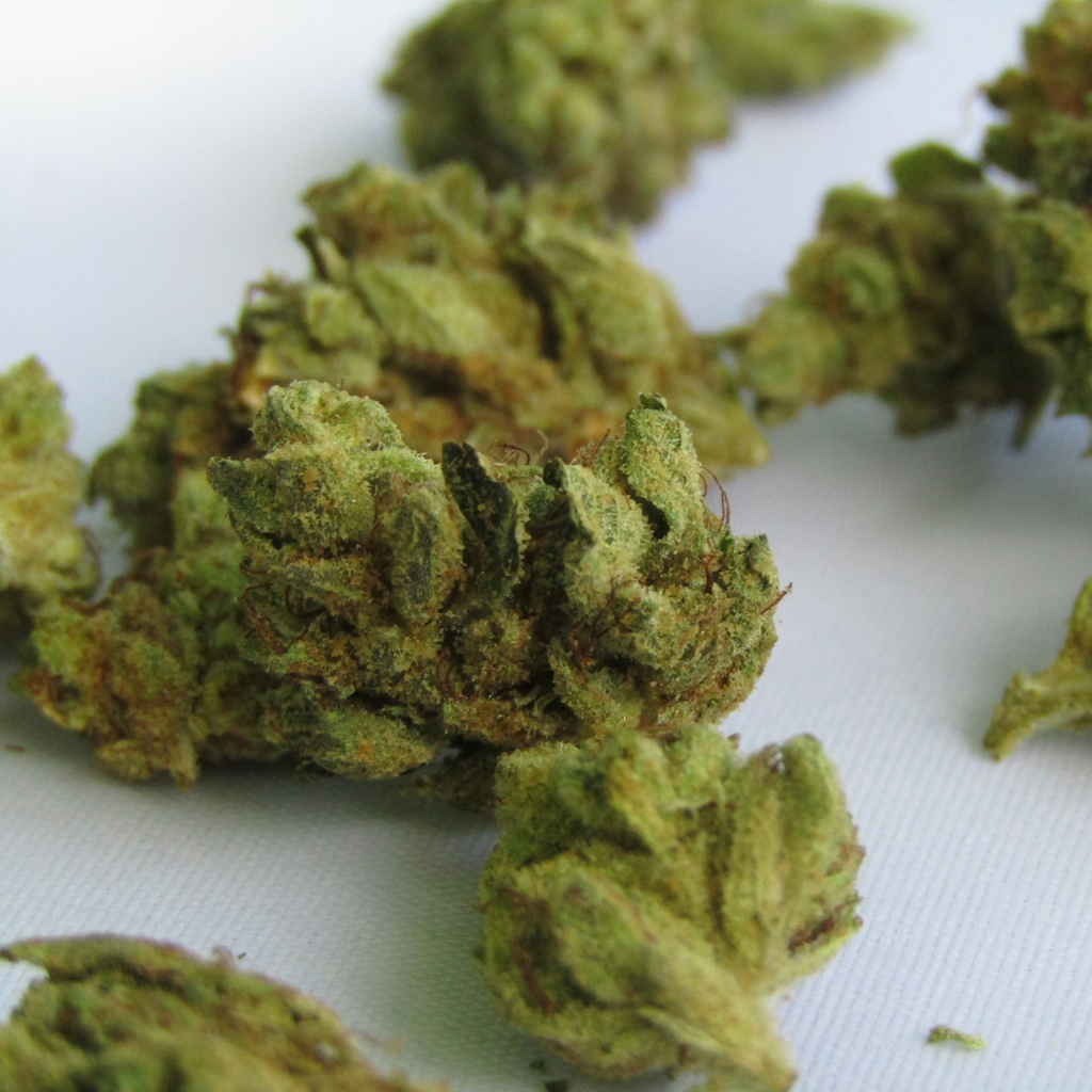 How to Safely Buy Mail Order Weed in BC: A Step-by-Step Guide