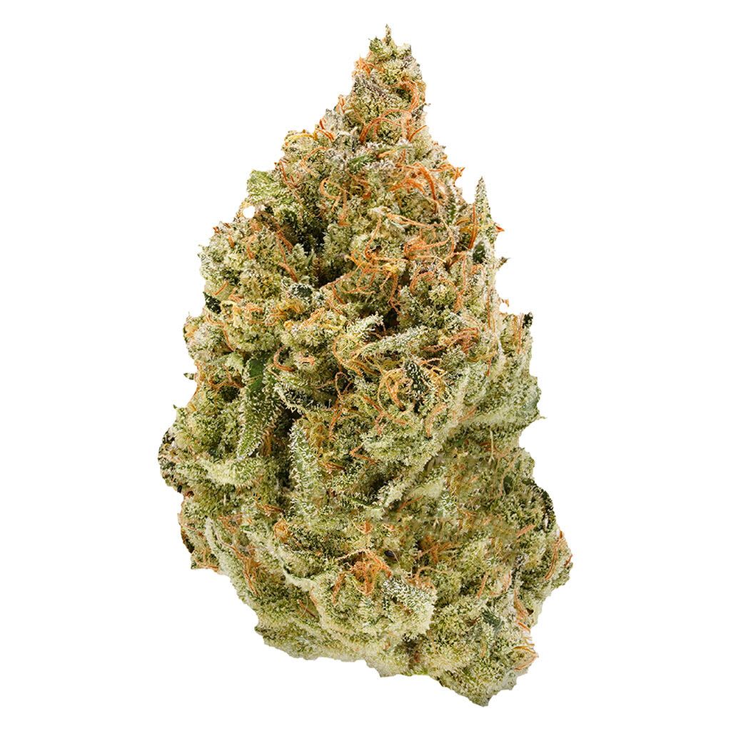 BC Organic Fruit Loopz 28g <br>Sativa <br>28.1% | 3.32% Terps
