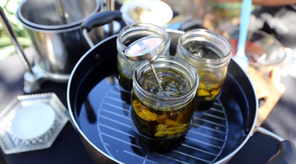 Cannabis Olive Oil Infusions Recipe