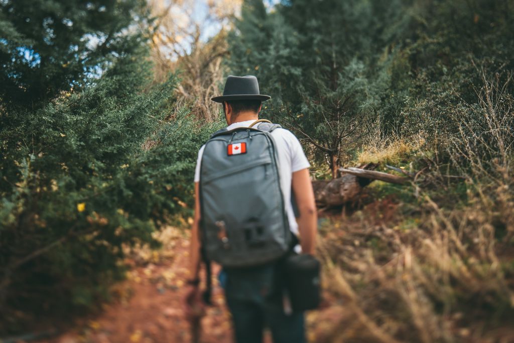 7 Cannabis Strains with Canadian Roots