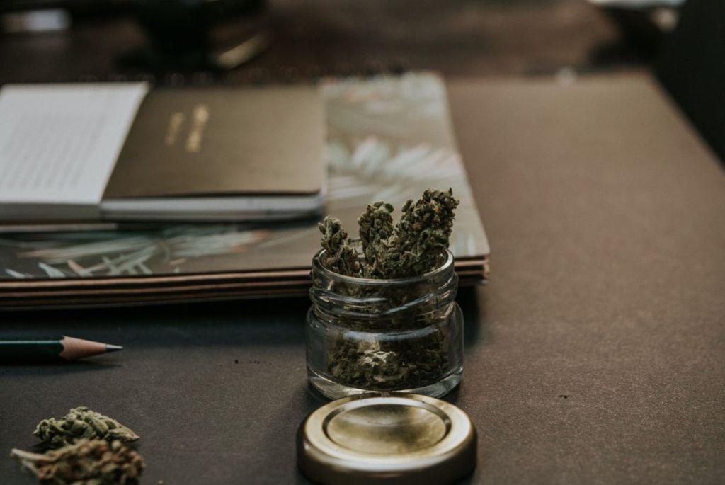 What Are The Best Sativa Strains To Help With Creativity?