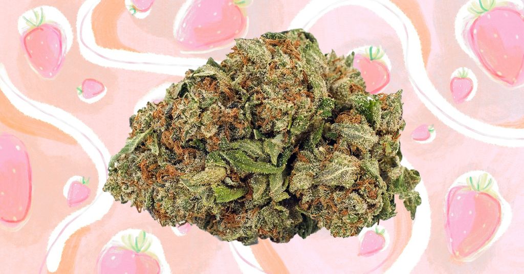 Pink Kush Strain Information