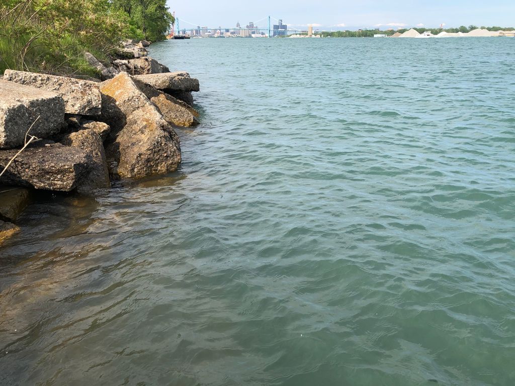 The Detroit River is clear, so what can you spot?