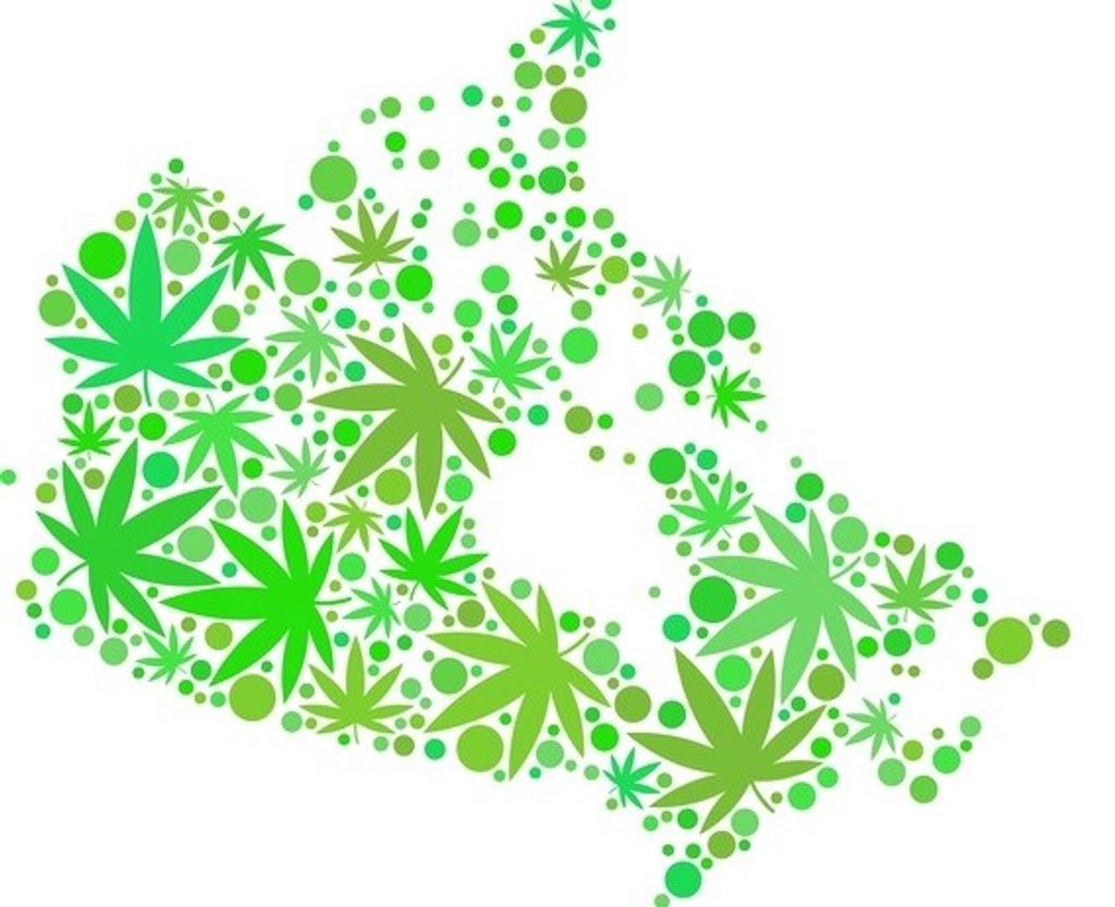 How to Find the Best Weed Delivery Services Across Canada