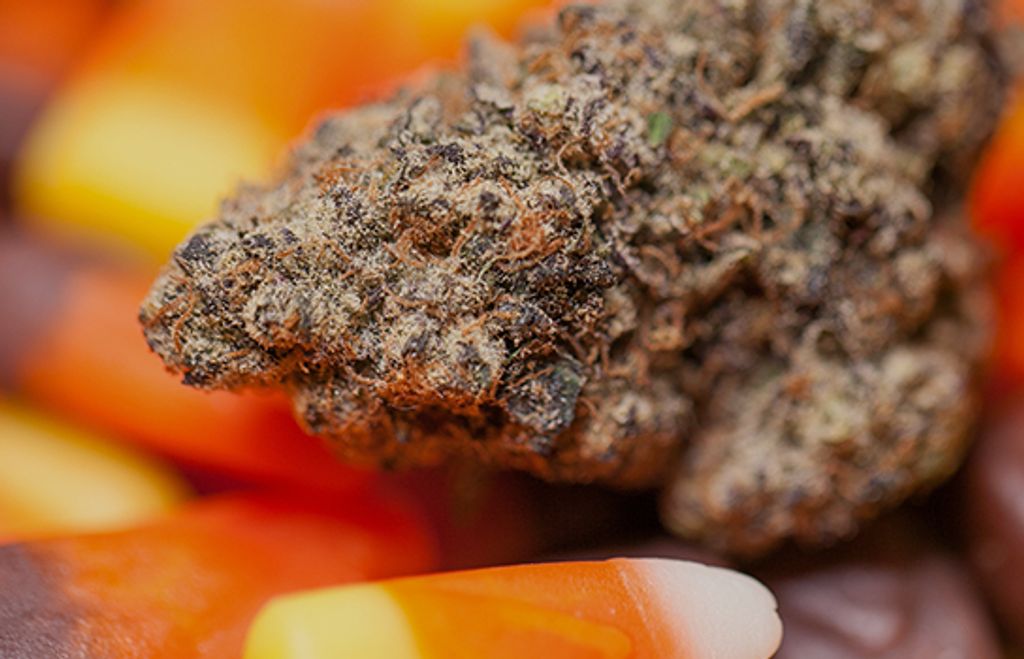 Top 10 Halloween Strains of All Time