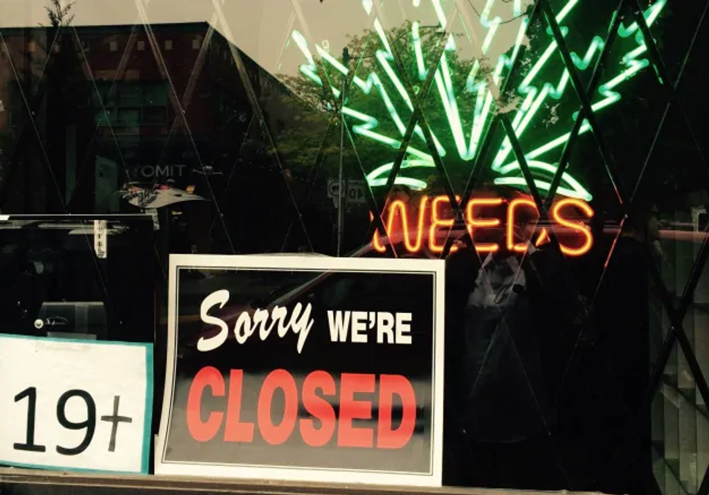 Is Leafythings The New WeedMaps? - Canada, Aug 2020