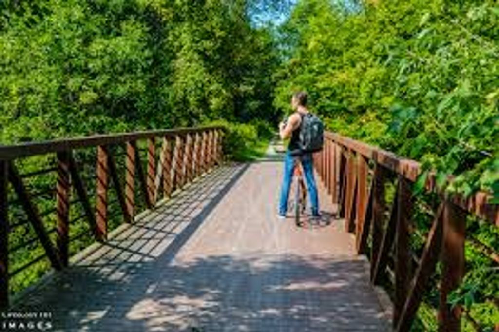 5 Cool Things You Gotta Do in Guelph, ON This Summer