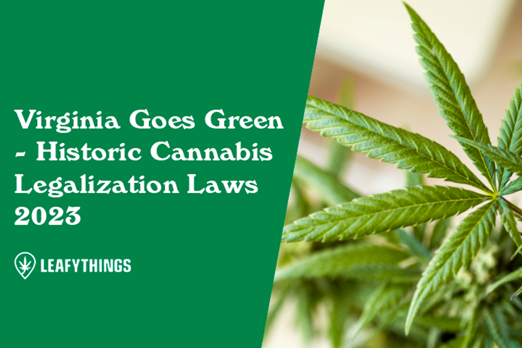 Virginia Goes Green - Historic Cannabis Legalization Laws 2023