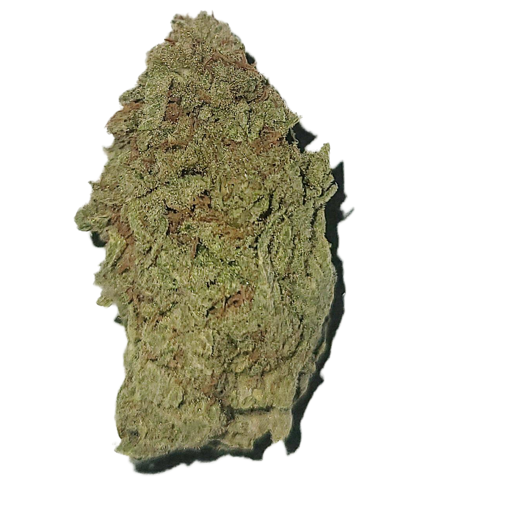 8 Dutch Kush