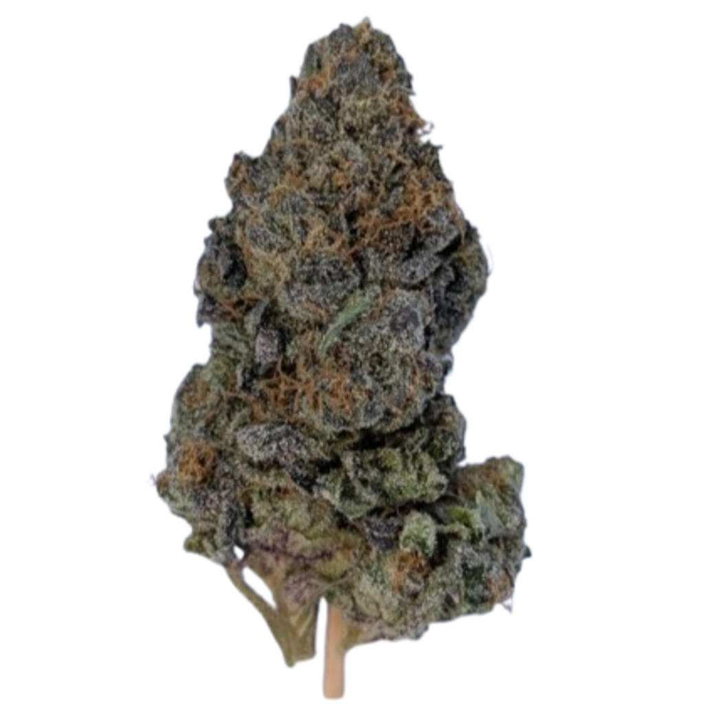 **FREE FLOWER MONDAYS!