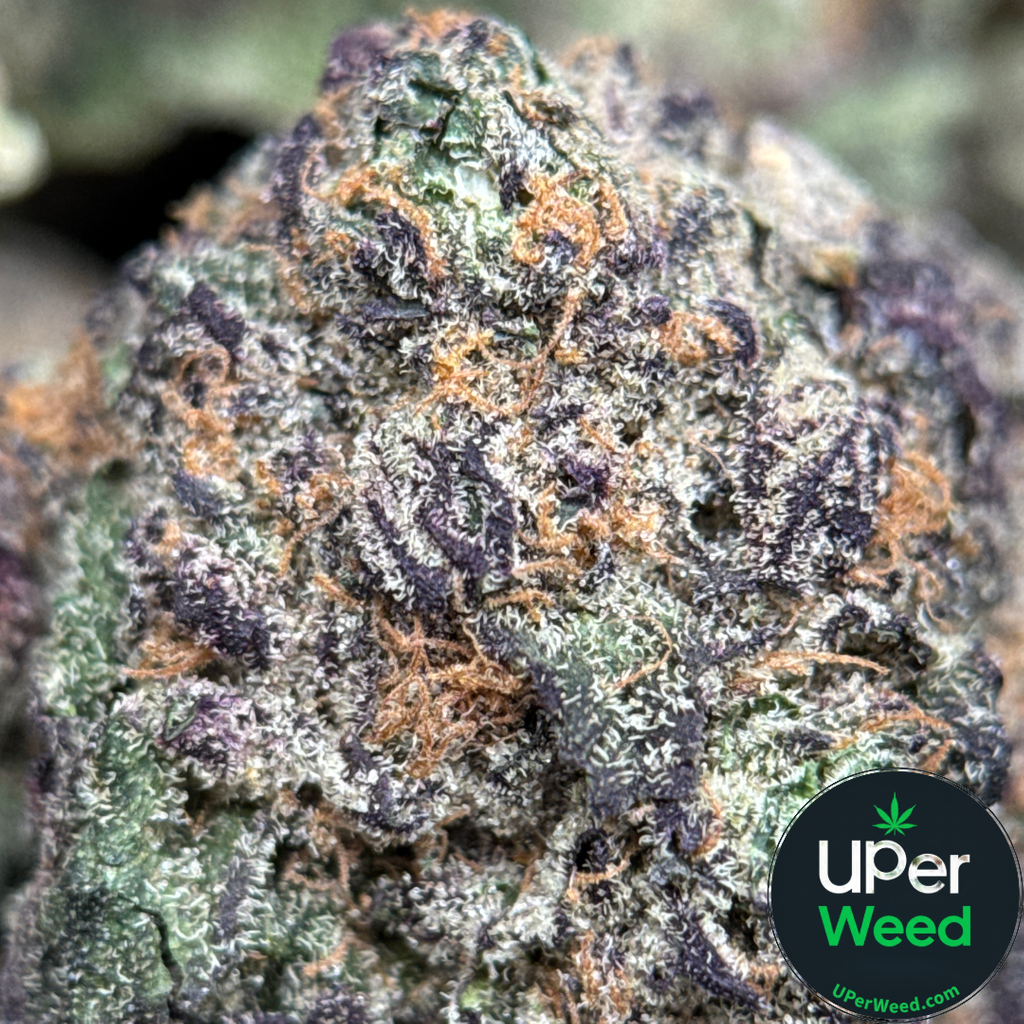 (28G) - Love OG 💘⛽😮‍💨Indica | 2Oz Bulk Deal for $220
