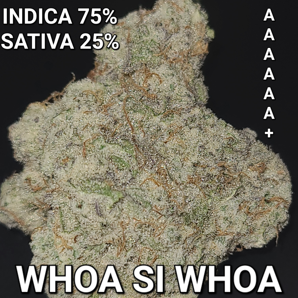 (66 % OFF DEAL) WHOA SI WHOA - CALI COLLECTION (AAAAAA INDICA) SUPER STICKY, FRUITY, VERY STRONG ($150 OUNCE SALE) REG $450