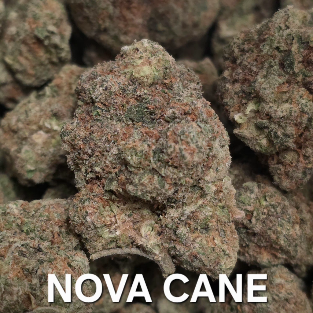 Nova Cane Sativa Dominant 