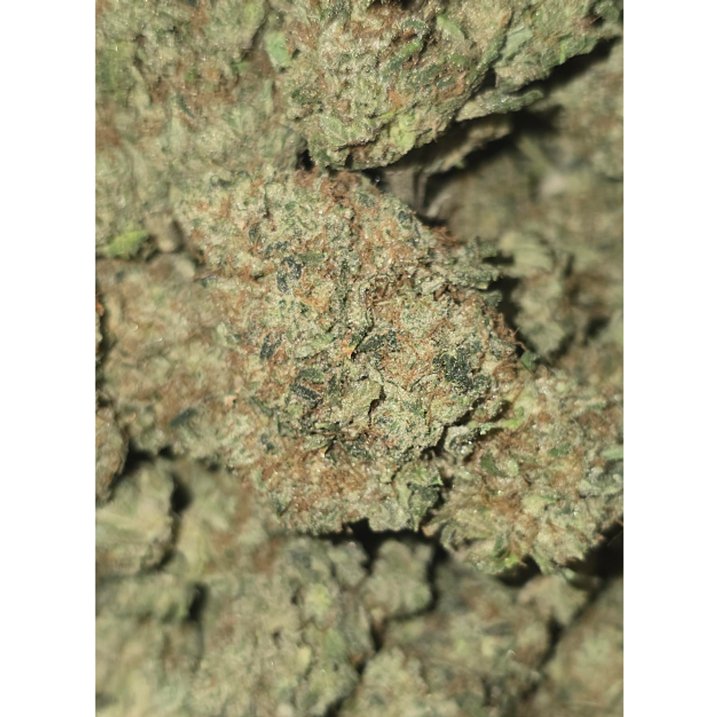 PEANUT BUTTER ROCKSTAR 85OZ  2FOR$160 4FOR300