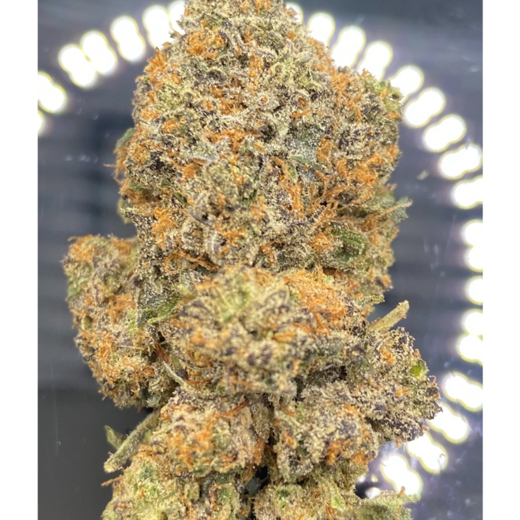 * NEW * Exclusive OG High Grade 