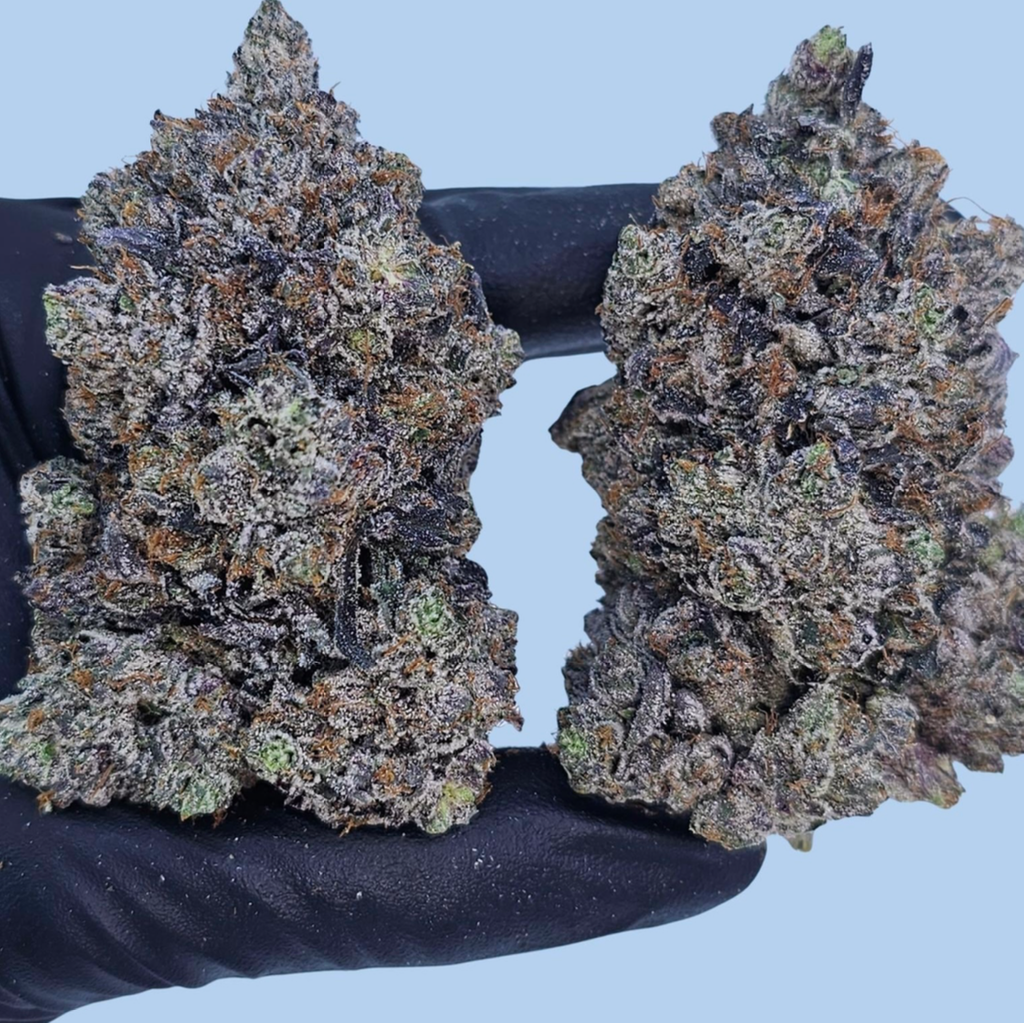 BLUE GUMMY BEARS AAAAA+ 🐻 🔵 