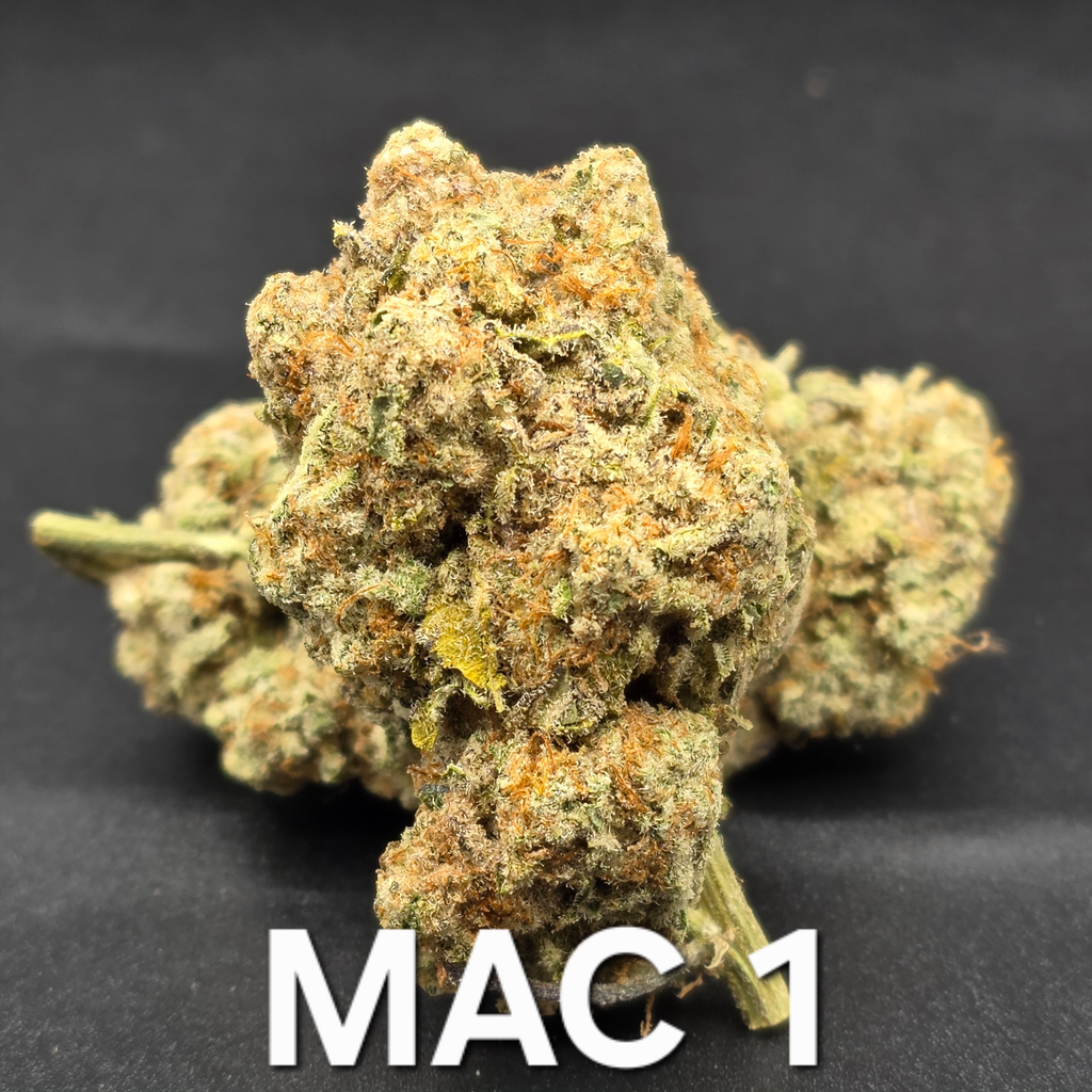 Mac 1 Indica Dominant