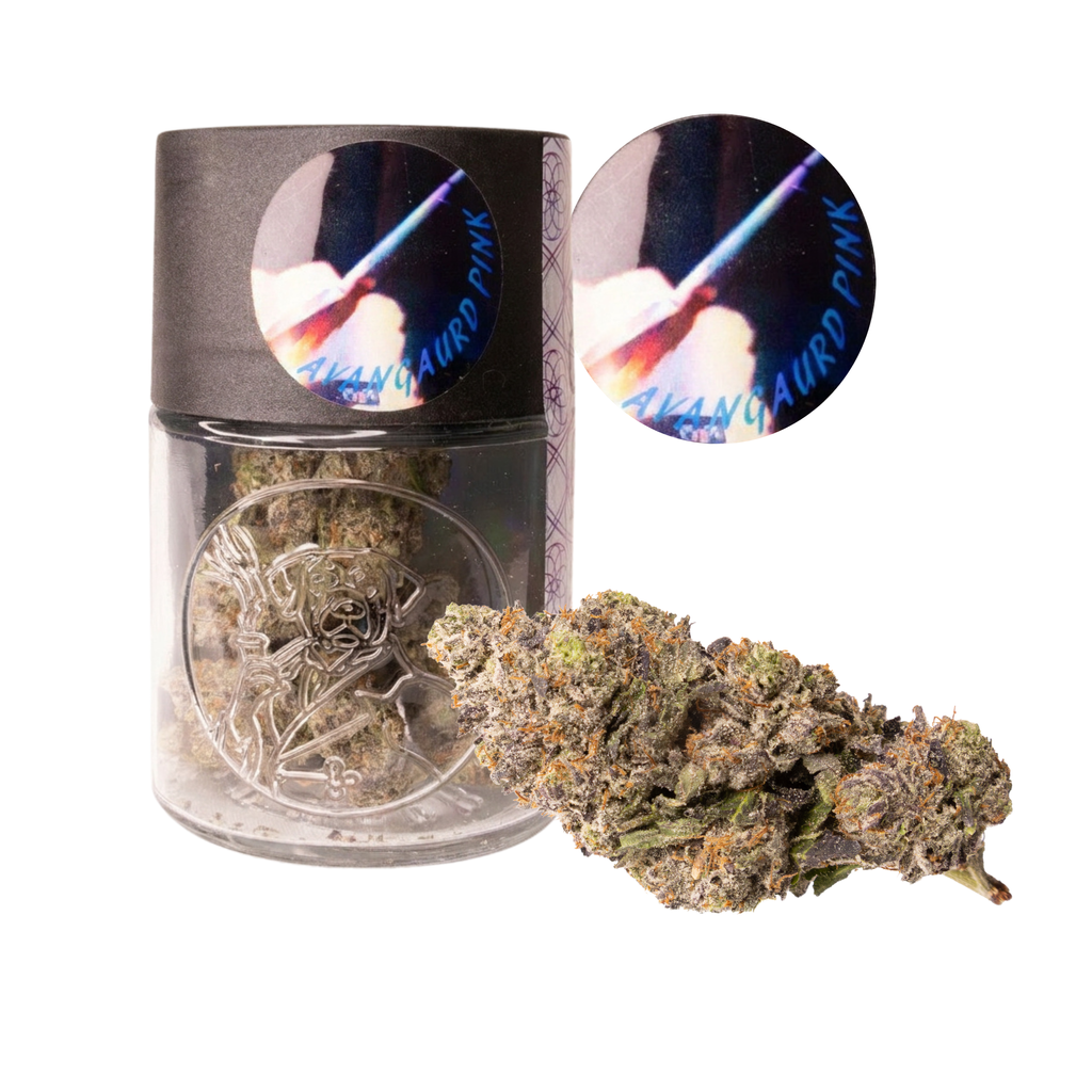 Avanguard Pink — 7g Jar
