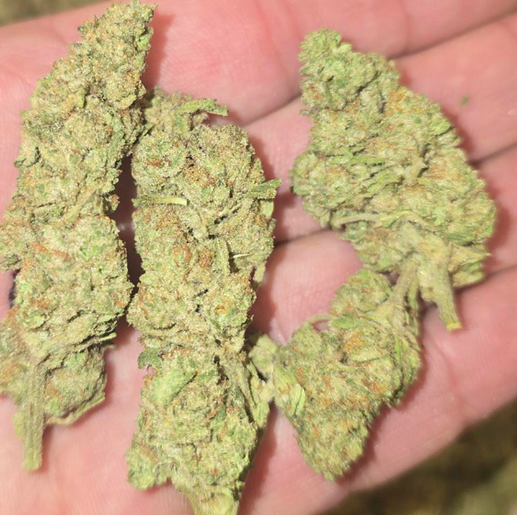 APPLE KUSH 70OZ 2FOR130 4FOR250