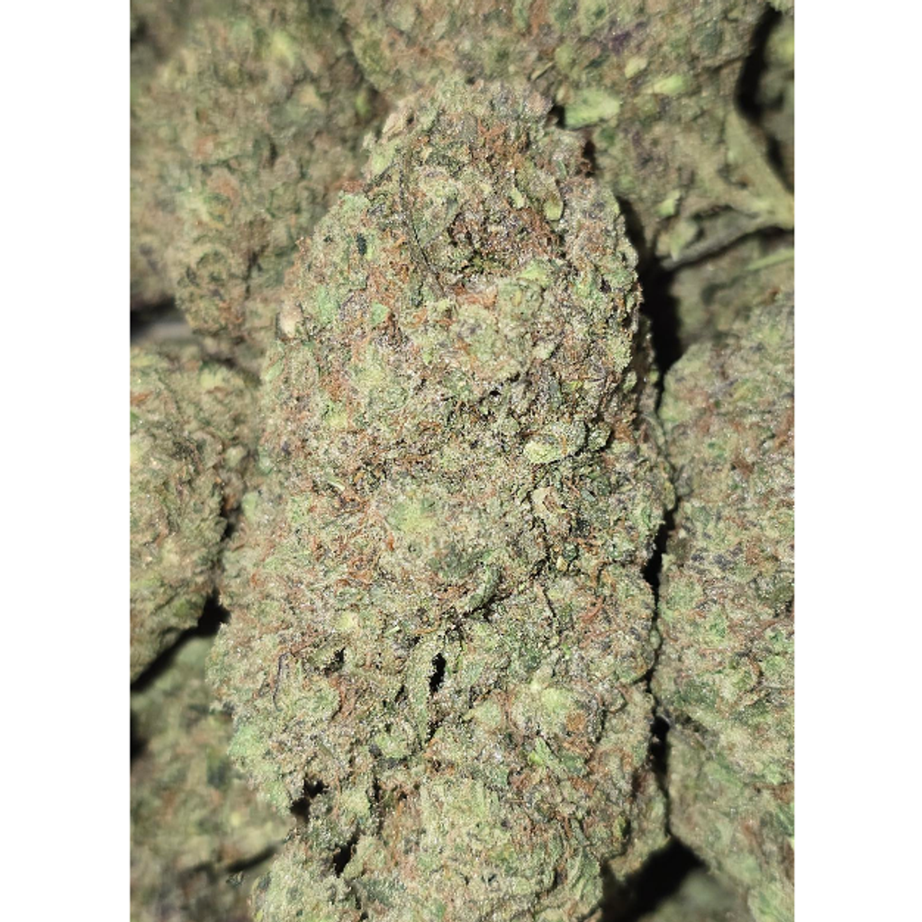 GAS MAC 120oz 2for220 4for420