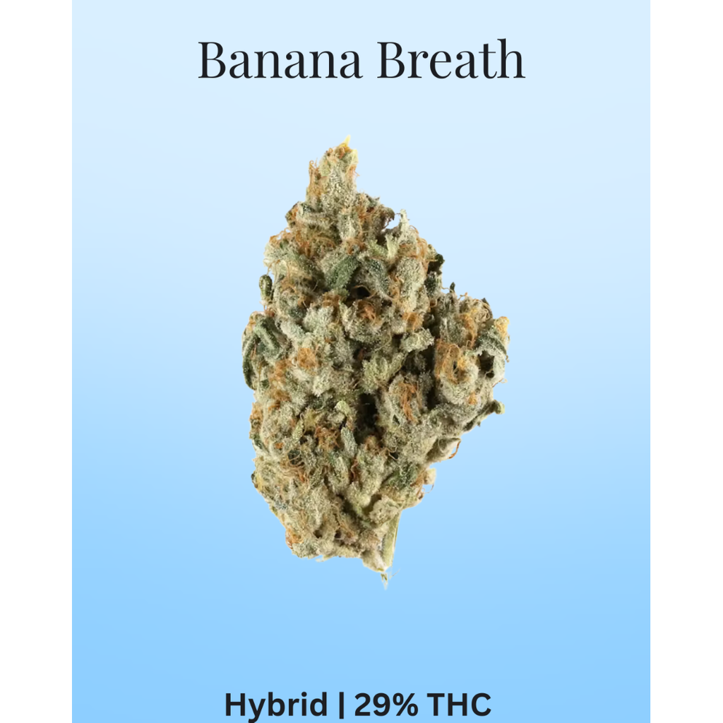 Banana Breath [AAAA] [ 2oz $150] [4oz $275]