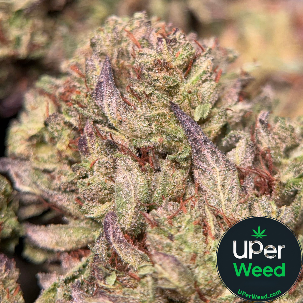 (28G) - BLACK TUNA🖤⛽Indica | 4Oz Bulk Deal for $200