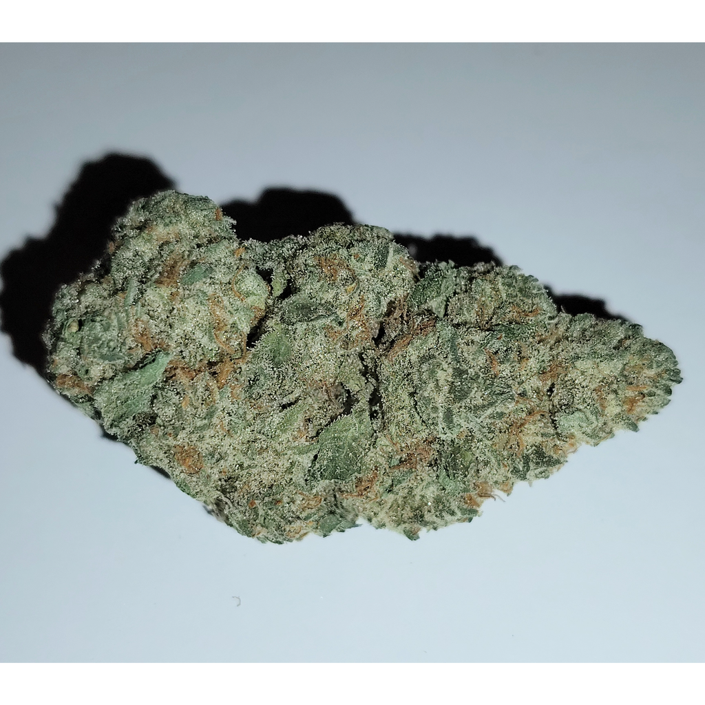 Black Domina (High-Grade)