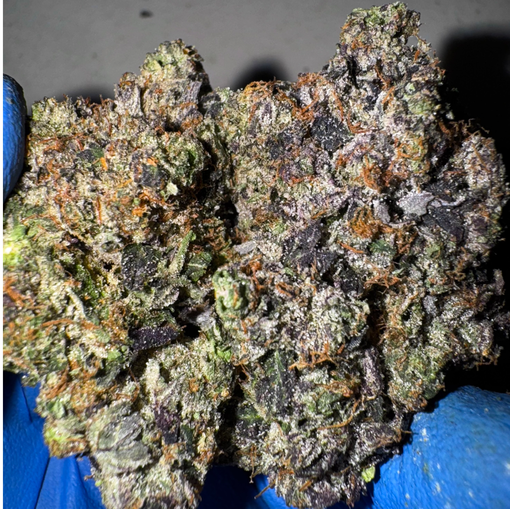 [NEW] LSO Azure Pink  AAAA+(5)