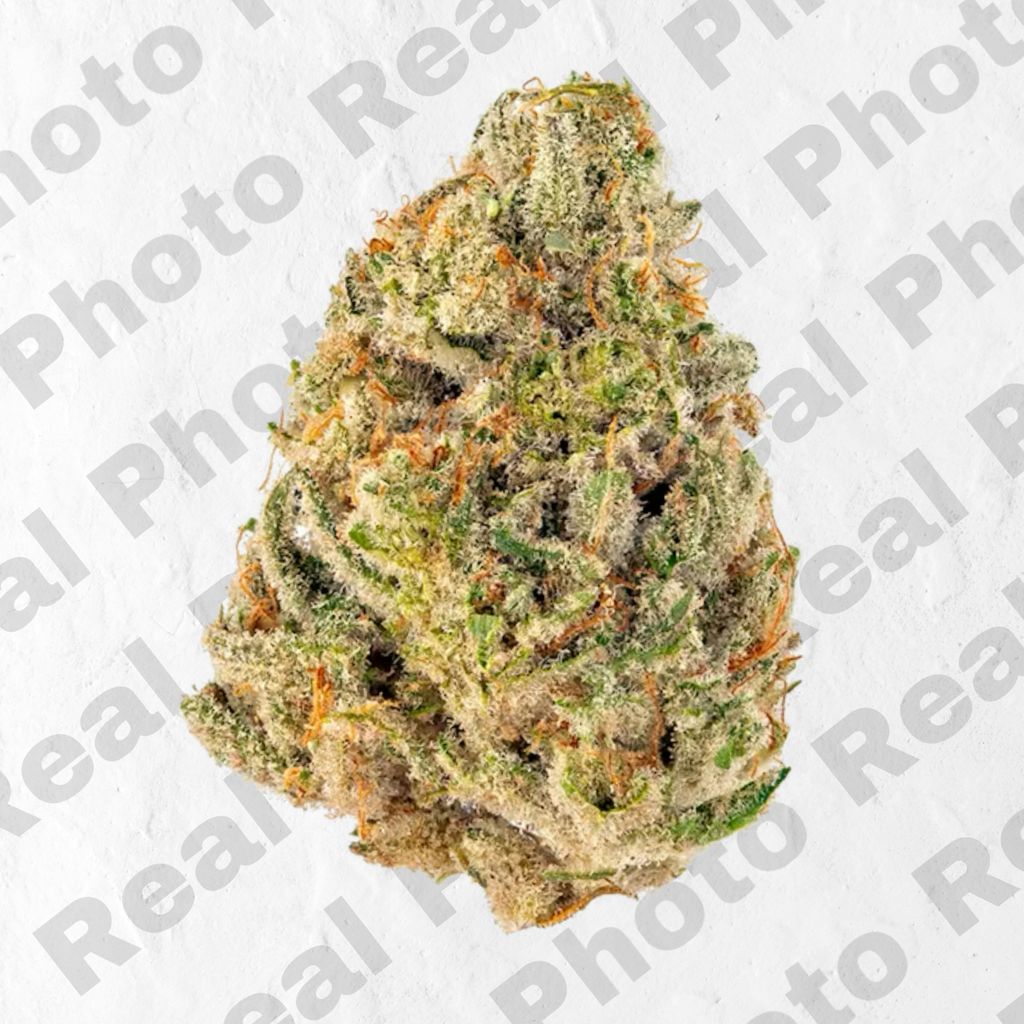 Sugar Tartz New Drop Premium Flower Sativa Frostiez Leafythings