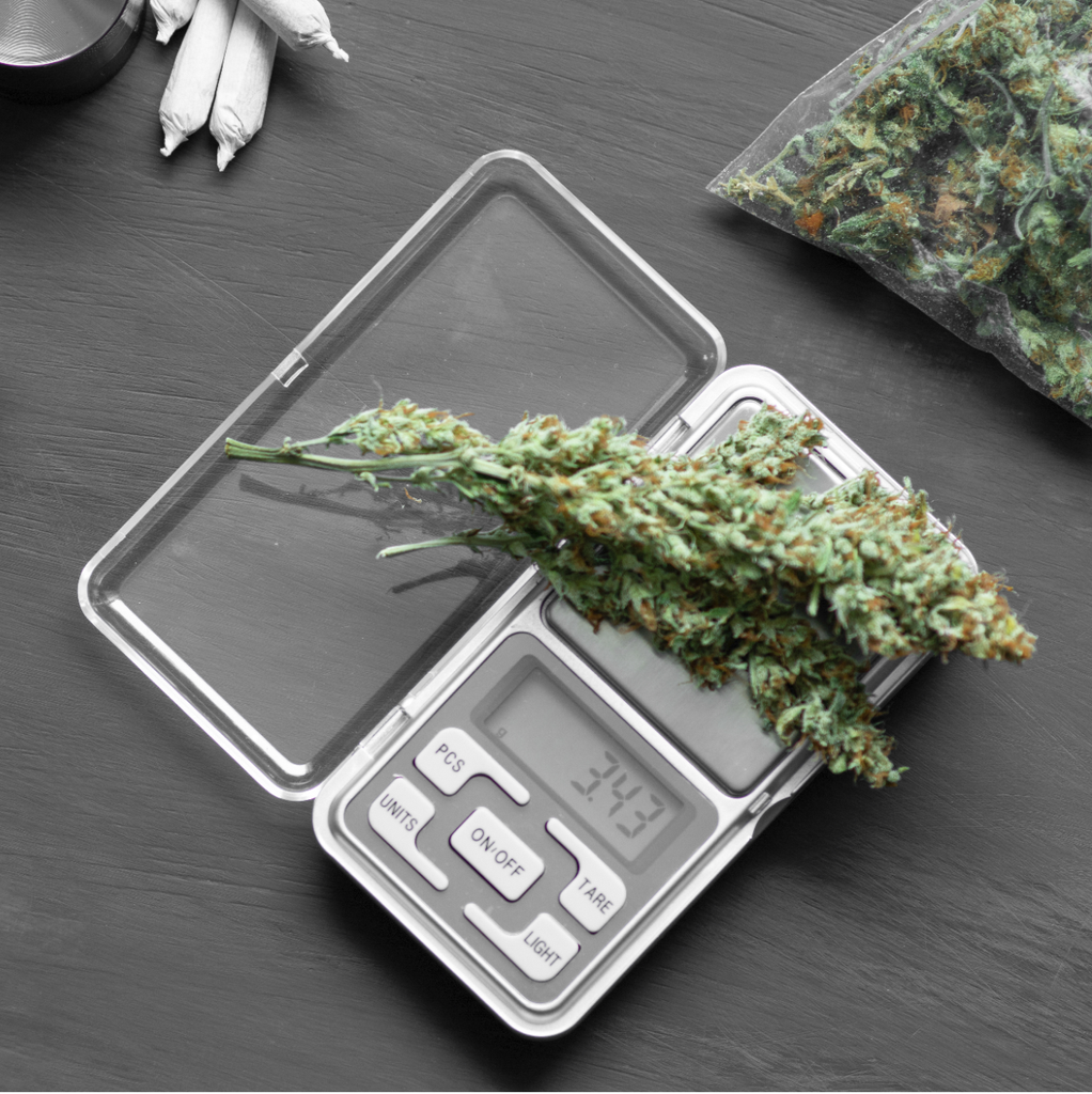 Weed Measurements Guide: How Many Grams in an Eighth, Quarter, Half Ounce, and Pound 