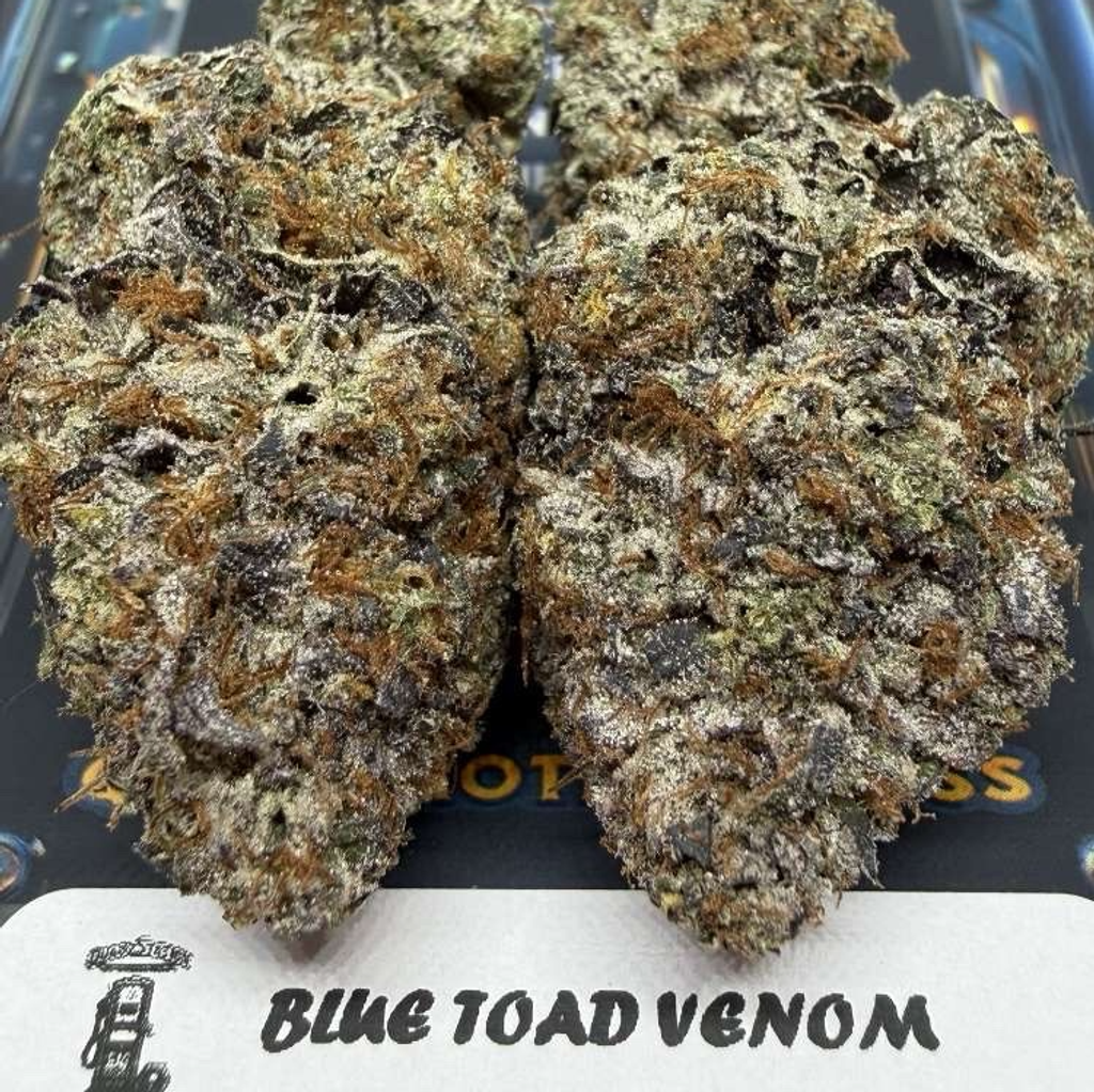 BLUE TOAD VENOM