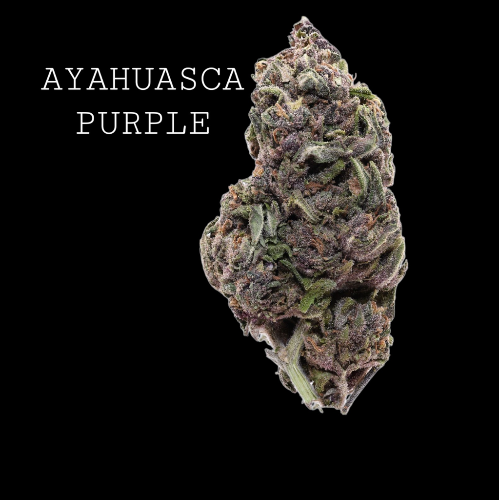 AYAHUASCA PURPLE