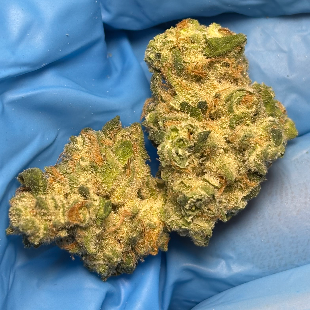 Black magic melon smalls