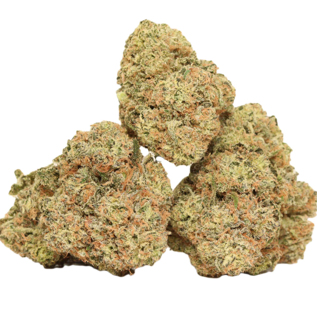 $200 For QP - Apple Run Hybrid