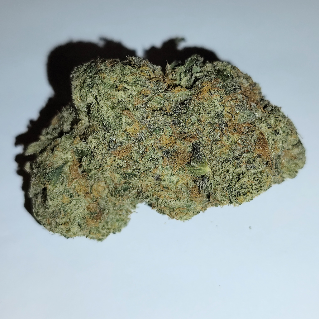 Afghan Big Bud (Premium-Grade)