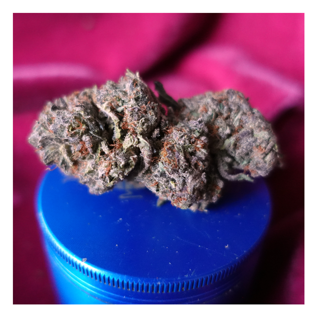 *NEW* Gorilla Glue #4 (7g-$50/14g-$75/28g-$140)(29% THC)