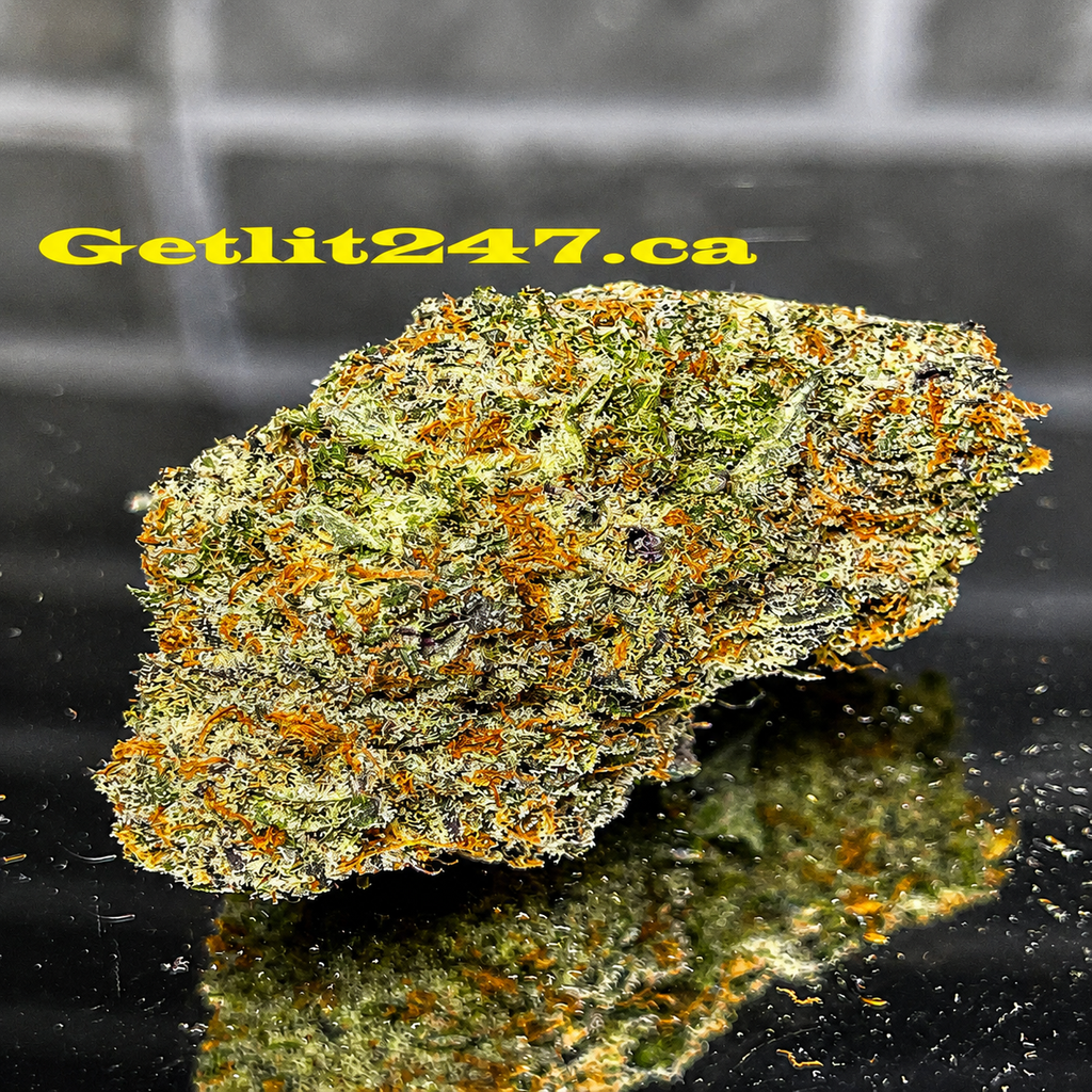 Black Ice - Hybrid 60% Indica / 40% Sativa - THC 29%