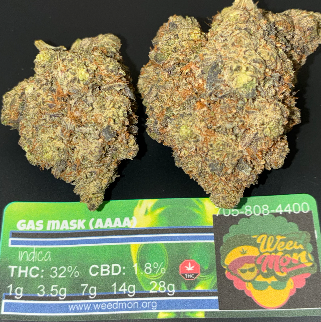 *********NEW DEAL* Gas Mask (AAAA+) THC: 31.5% CBD: 2.0%