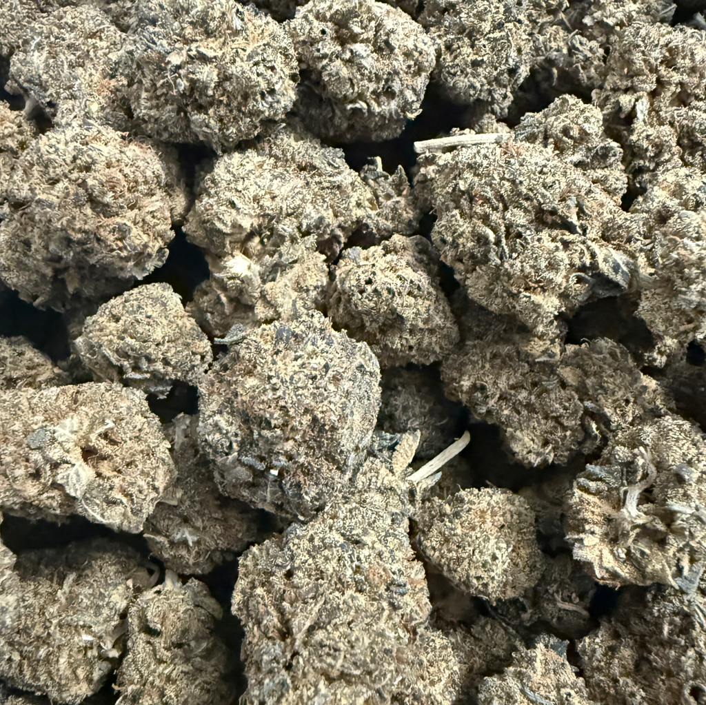 POISON  3 oz 170