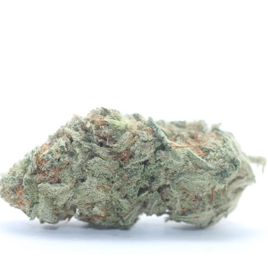 AAA++ Northern Lights