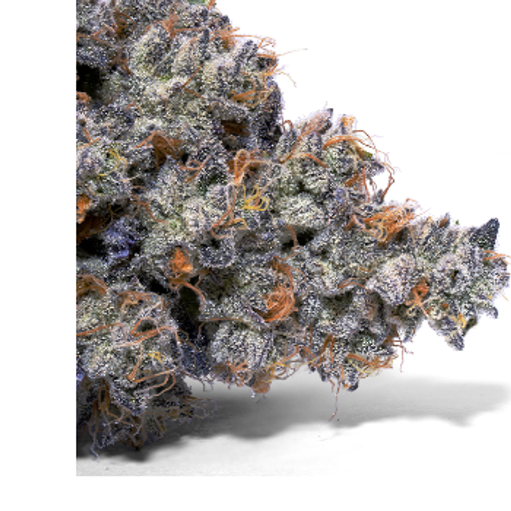 New Captain Jack 🏴‍☠️ Tuna 125$ OZ 2 FOR 200$