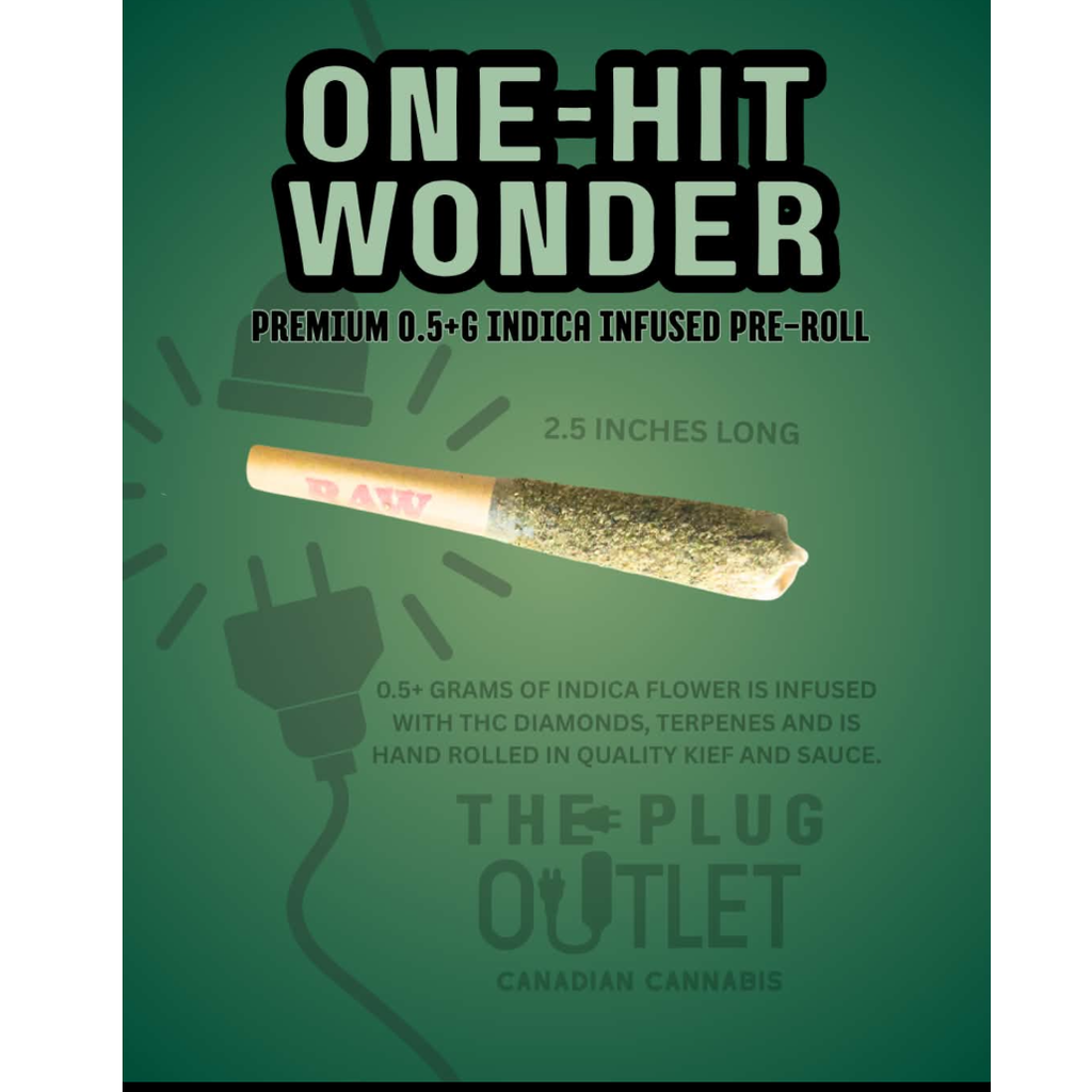          ⭐️NEW* ONE-HIT WONDER⭐️