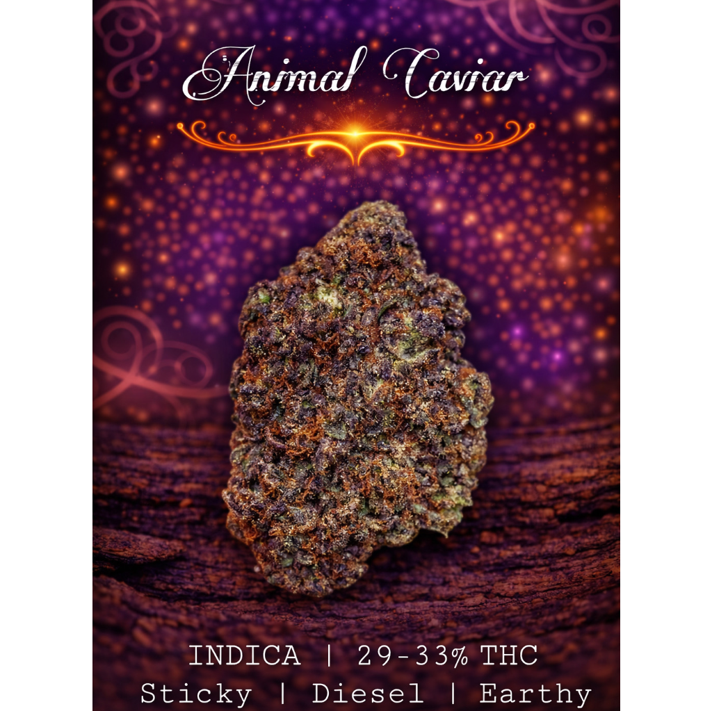 Animal Caviar 🦒 | SALE | 29-33% THC | INDICA | $100 an oz | $150 for 2 ozs | 