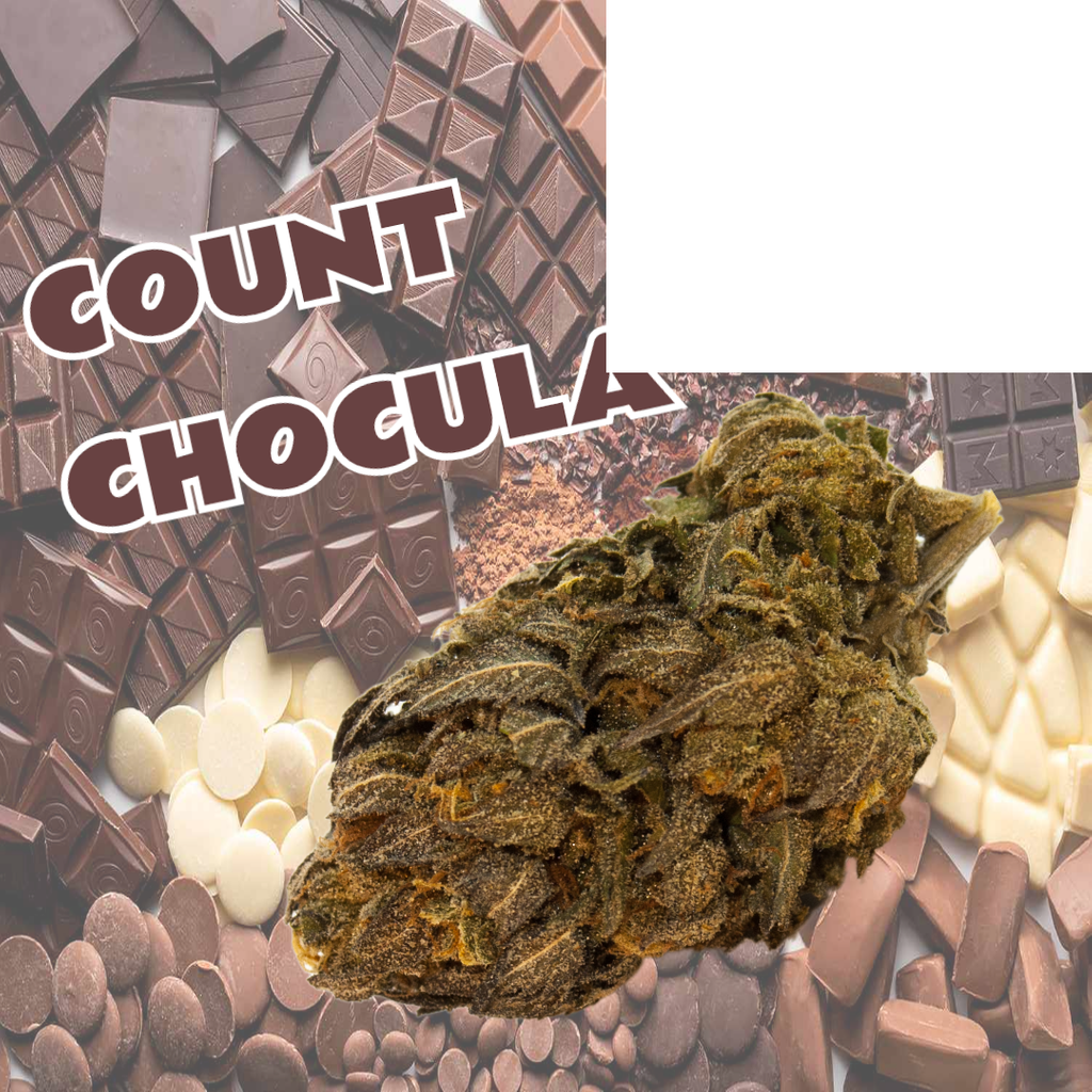 Count Chocola