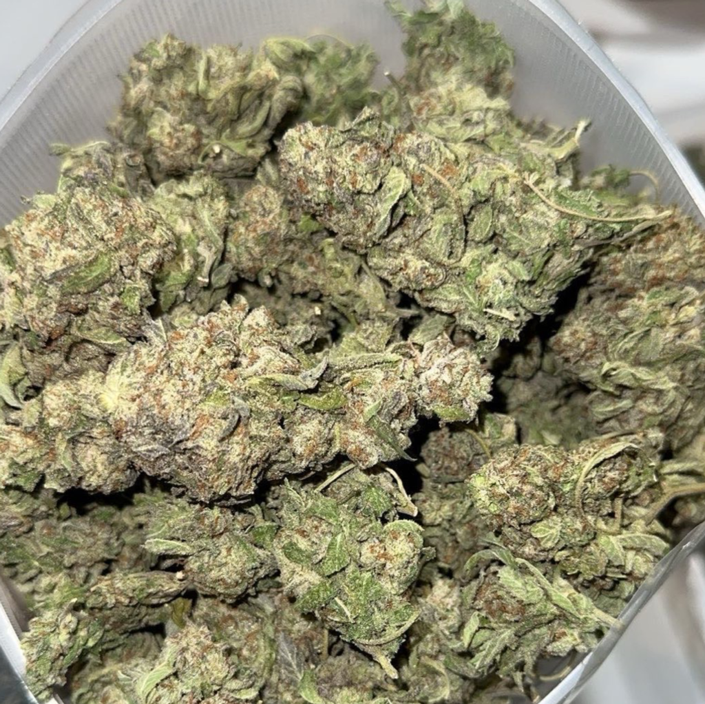 Budget friendly | Purple Urkle AAA 2 oz 109.99 | locally growing  