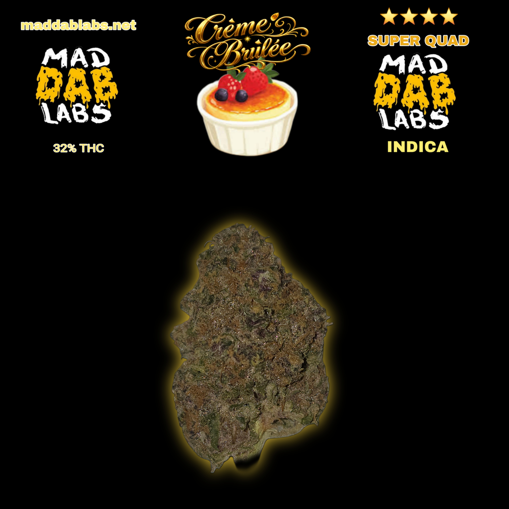 CREME BRULEE - GROWN BY MAD DAB LABS.🔥🔥🔥🔥🔥